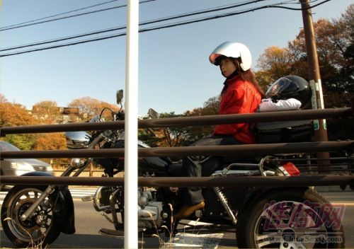 日本教授跟眾多充氣娃娃過日子
