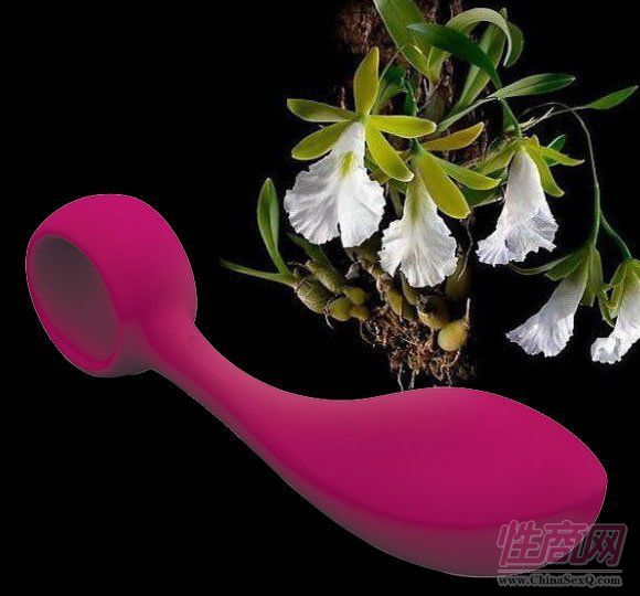 Bob bordeaux (U)ŮͥGc̼Ӱ ̖614012-