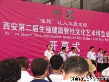 2010Ļ[(hu)--չ(hu)_(ki)Ļ