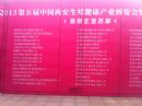 2013Բ(hu)F(xin)(chng)ʈDƬ(bo)DƬ12