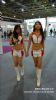 2009޳˲[AAEF(xin)ShowGirlsDƬ4