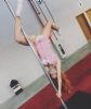 2016չF(xin)ʱ݈DƬ35