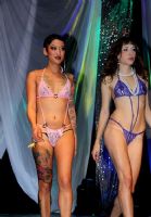 2011ôչETWSF(xin)(chng)\DƬ8